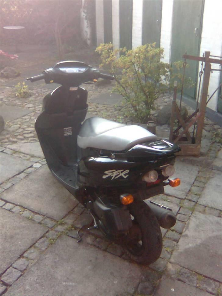 Honda sfx  billede 9