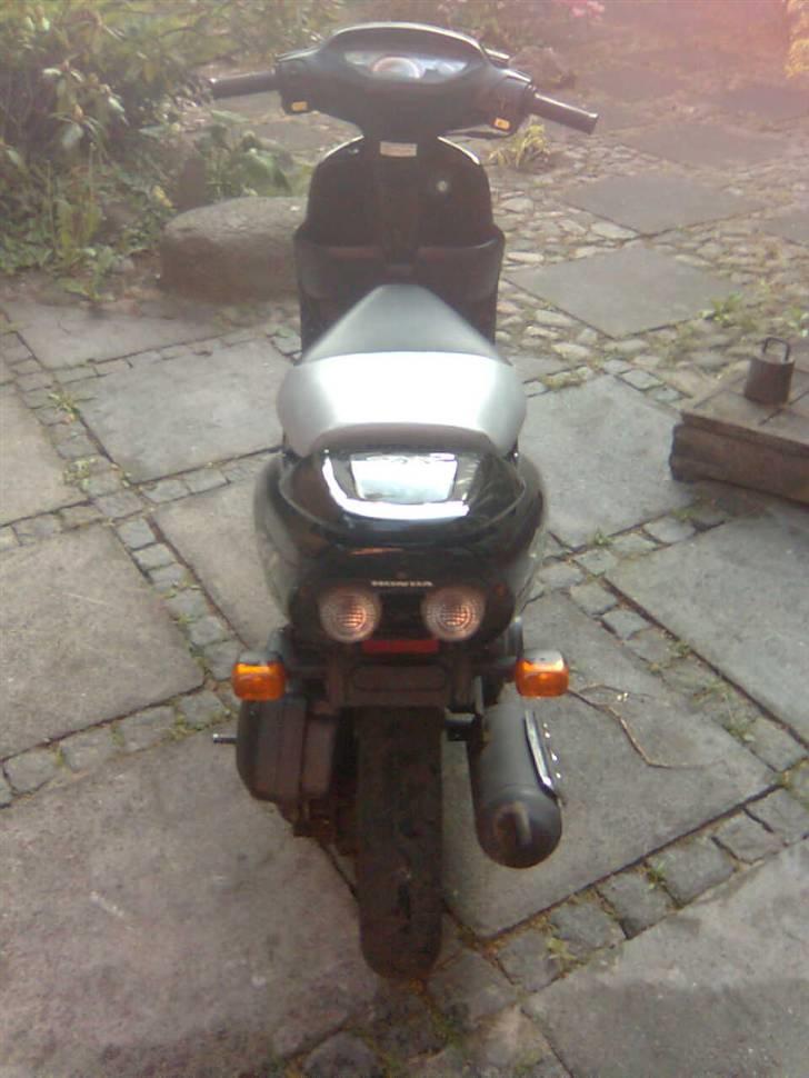 Honda sfx  billede 10