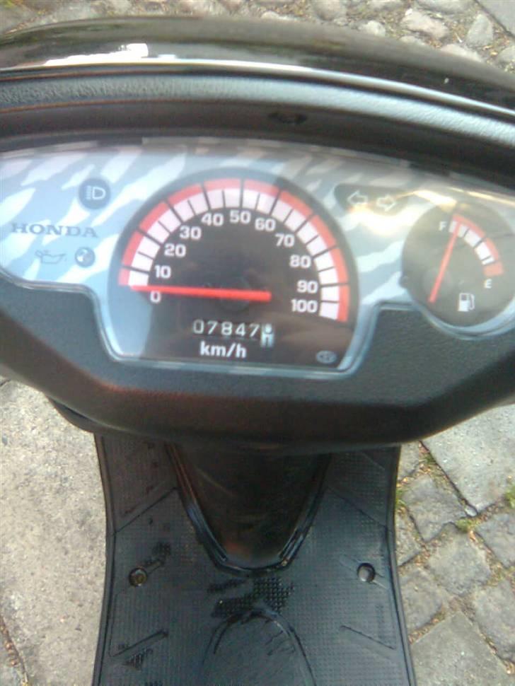 Honda sfx  billede 14