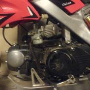 MiniBike 125cc orion byttet