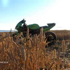 Rieju rs 2 matrix byttet