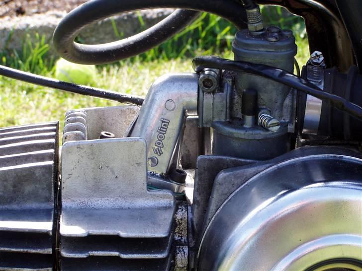 Puch Maxi(Polini)(solgt) billede 4