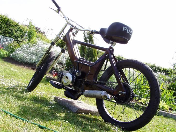 Puch Maxi(Polini)(solgt) billede 6