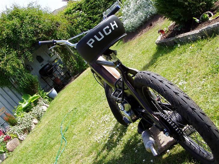 Puch Maxi(Polini)(solgt) billede 7