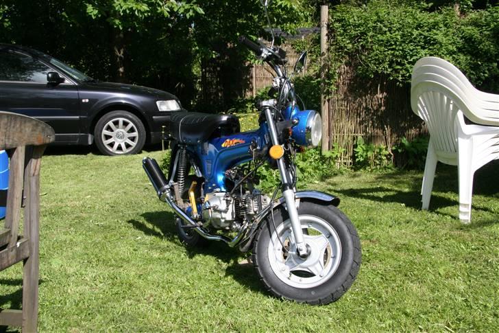 Skyteam Dax  billede 2