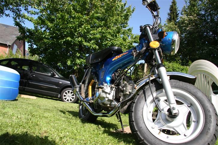 Skyteam Dax  billede 4