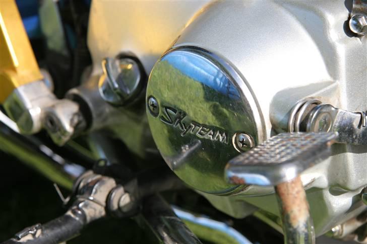 Skyteam Dax  billede 11