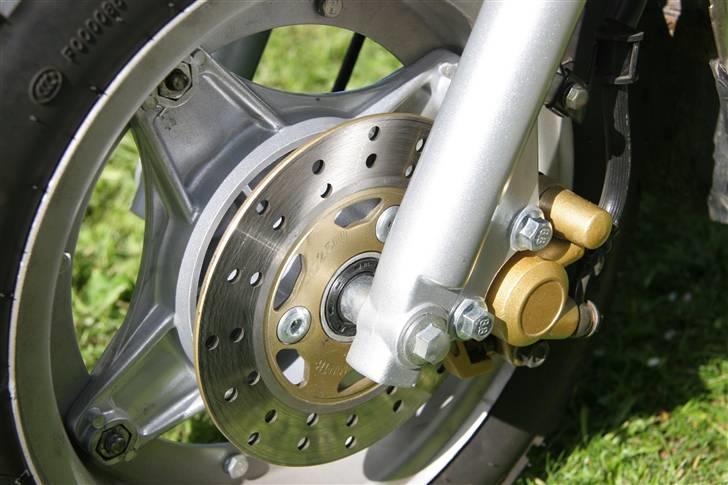 Skyteam Dax  billede 12