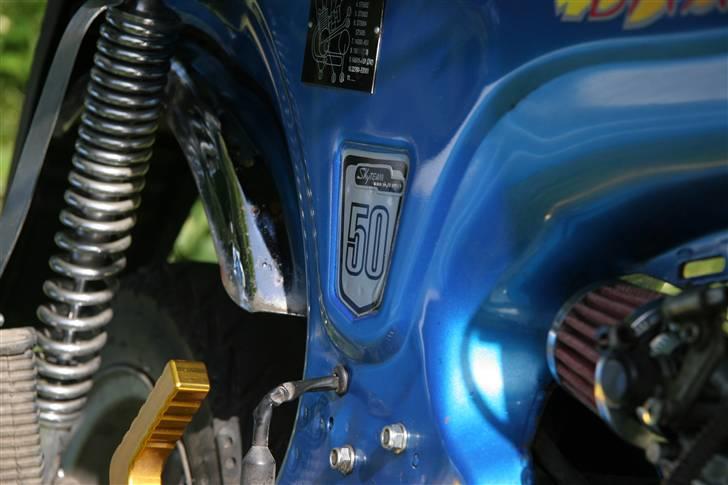 Skyteam Dax  billede 13