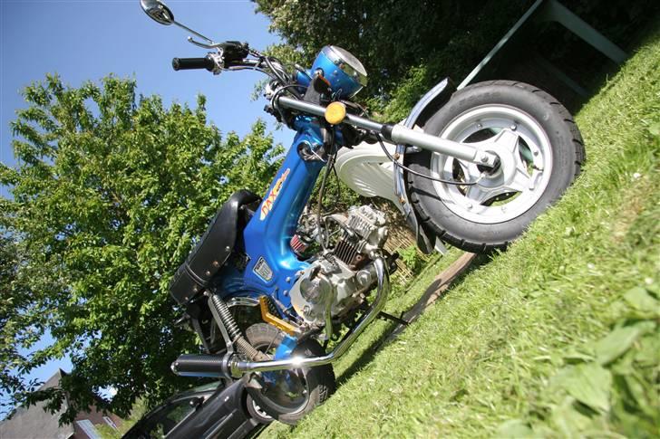 Skyteam Dax  billede 18