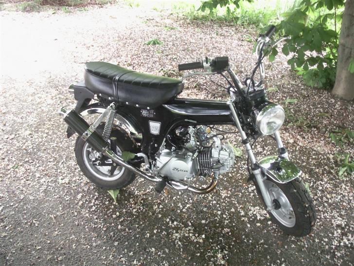 Skyteam dax (BYTTET) billede 6