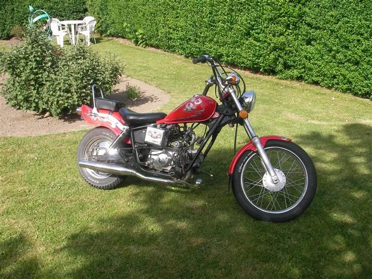 Regal Raptor SOLGT billede 1