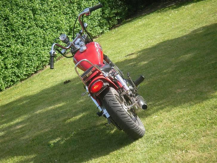 Regal Raptor SOLGT billede 3