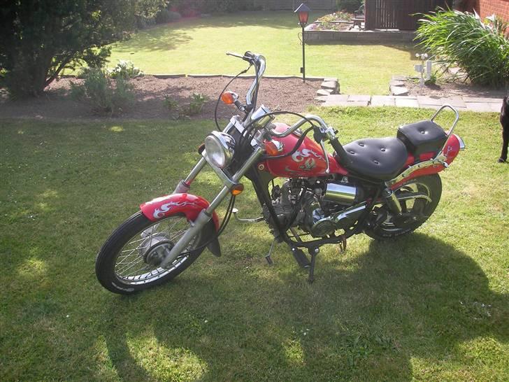 Regal Raptor SOLGT billede 4