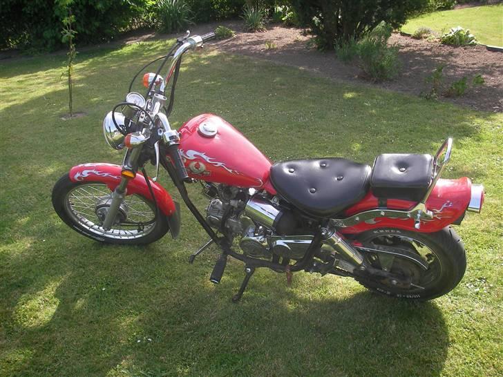 Regal Raptor SOLGT billede 5