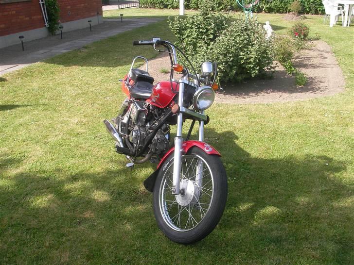 Regal Raptor SOLGT billede 6