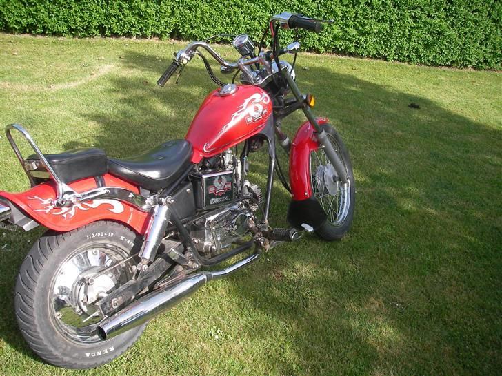 Regal Raptor SOLGT billede 7