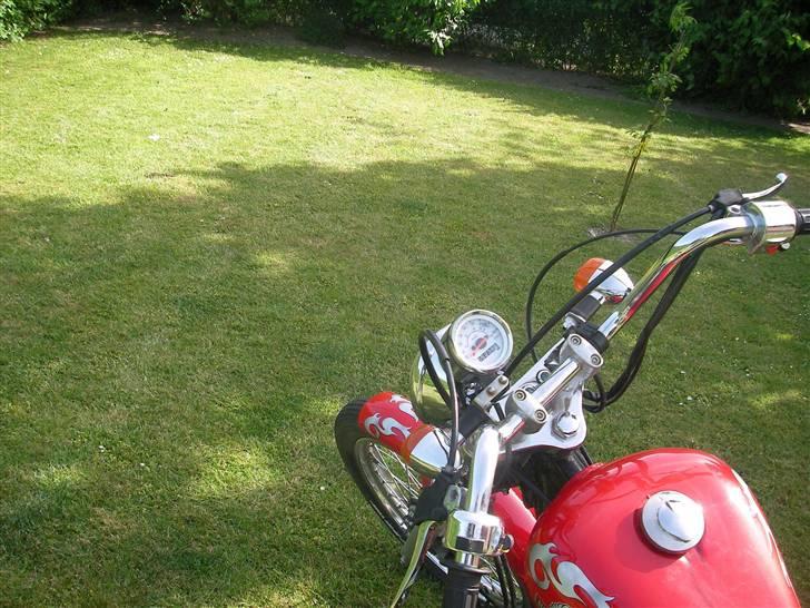 Regal Raptor SOLGT billede 9