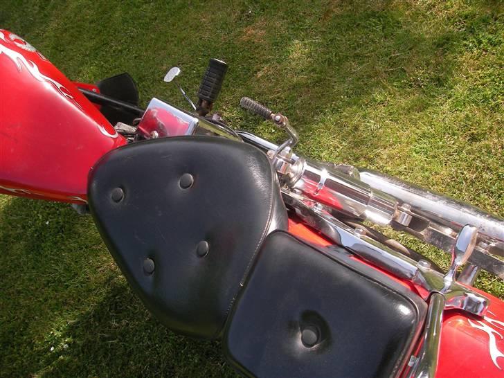 Regal Raptor SOLGT billede 10