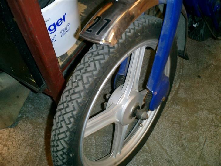 Piaggio caio sologt 1000 billede 5