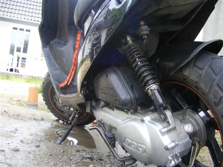 PGO Hot 50 - (Solgt) billede 1