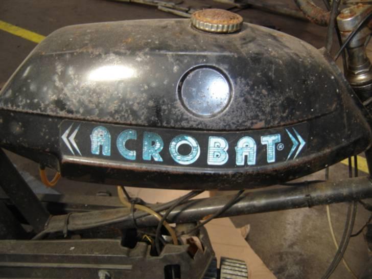 Veteraner ACROBAT (SOLGT) billede 5