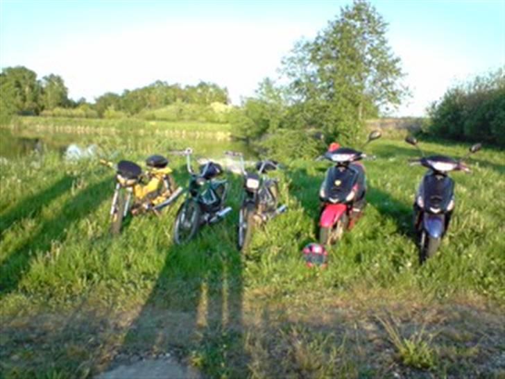 Puch Maxi KL Solgt billede 9