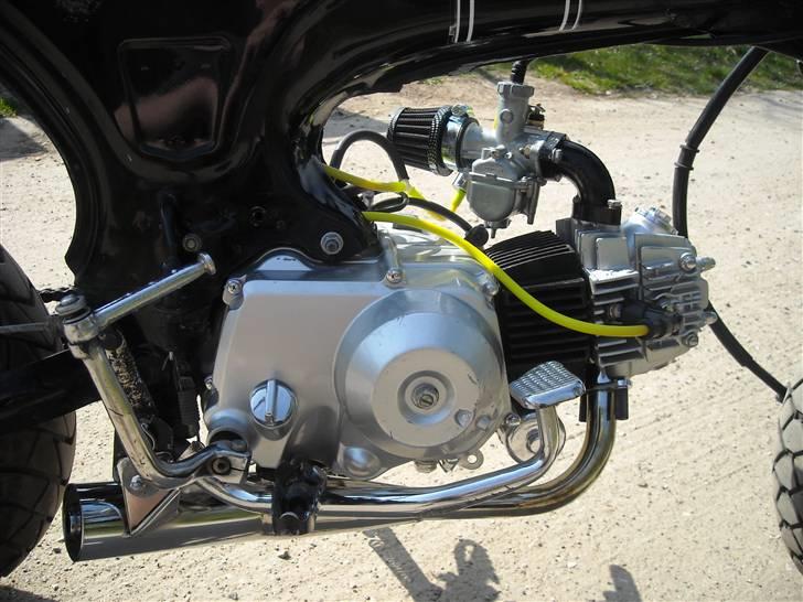 Honda  DAX - under lagt nhr potte billede 10