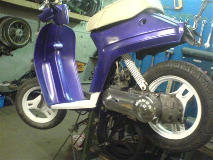 Honda melody (projekt) solgt billede 20