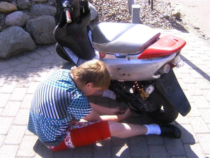 Honda sfx Projekt solgt billede 5