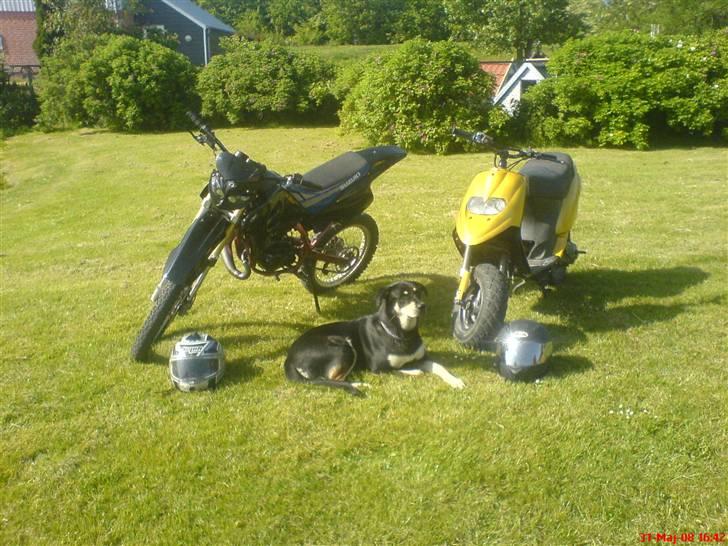 Gilera stalker byttet med sonic billede 5