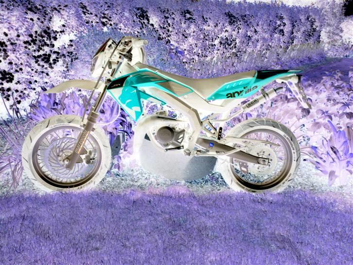 Aprilia SX50 (Solgt) - Hvor ville den egentlig se blæret ud i de farver. Grr. :D billede 8