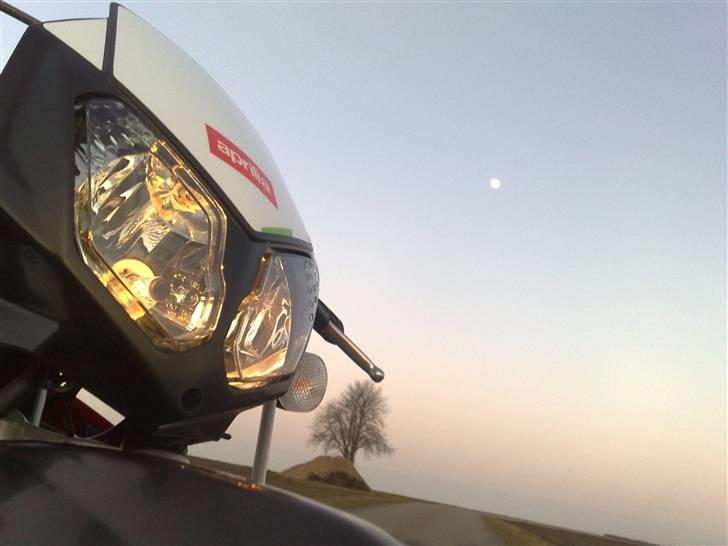 Aprilia SX50 (Solgt) - For fedt billed, med månen i baggrunden. (:  billede 13