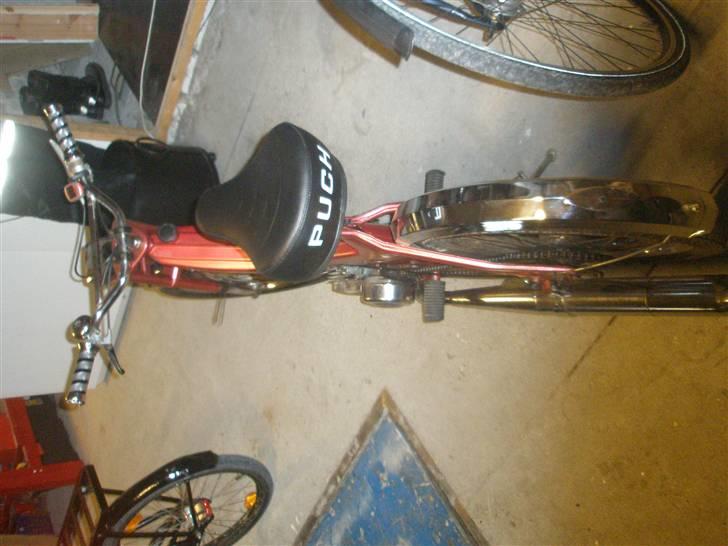 Puch Maxi P (SOLGT) billede 4