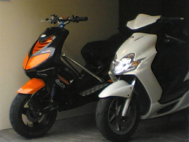 Peugeot speedfight - min speedfight sammen med min dejlige jog r billede 13