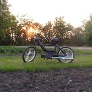 Puch maxi 