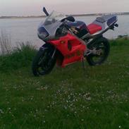 Aprilia RS 50