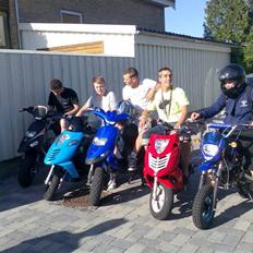 Gilera Stalker (R.I.P) );