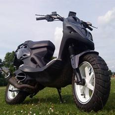 PGO pmx naked carbon byttet