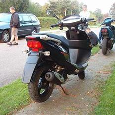 PGO Dr. Big  SOLGT  900 ,-