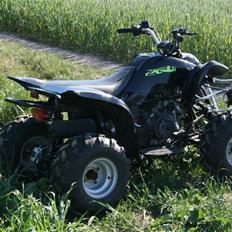 MiniBike honda kopi Solgt !