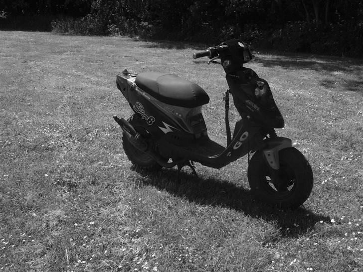 PGO Hot 50 til salg billede 5