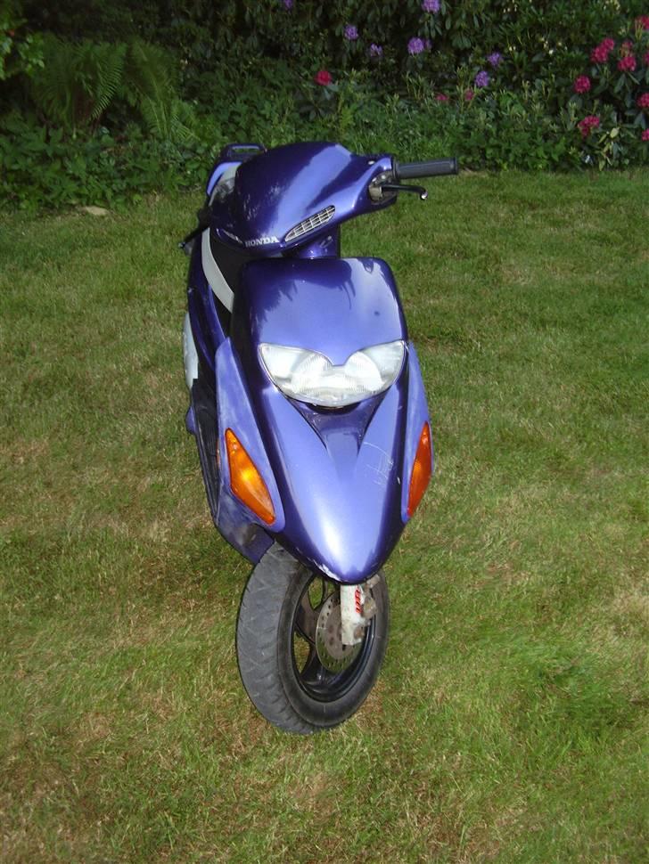 Honda sfx(til salg) for 5000 billede 3
