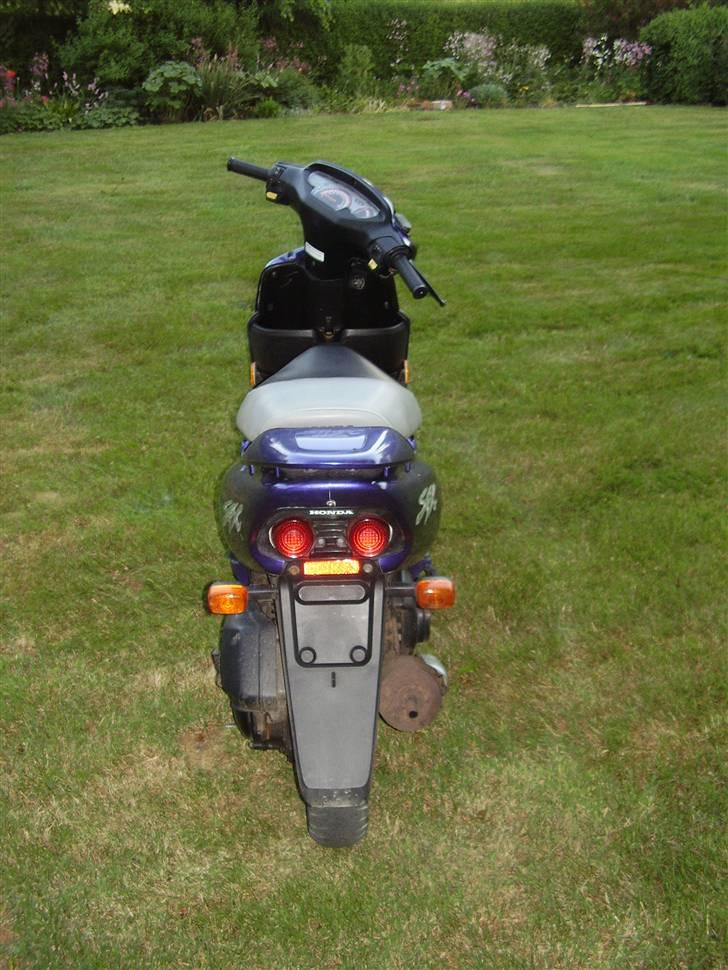 Honda sfx(til salg) for 5000 billede 6