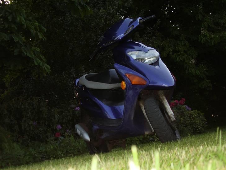 Honda sfx(til salg) for 5000 billede 10