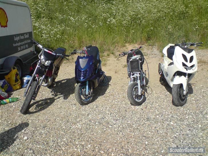 Aprilia Sonic lc TS - til asw billede 11