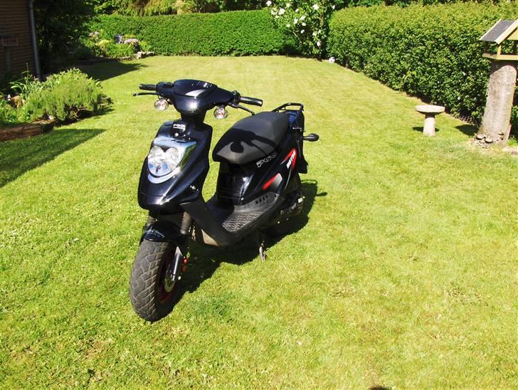 PGO HOT 50 solgt  billede 7