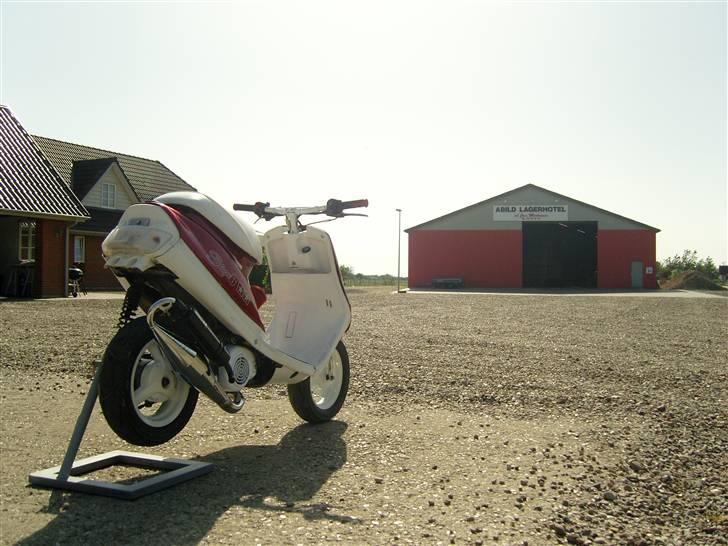 Yamaha Jog ##SOLGT## 10 Kg billede 4