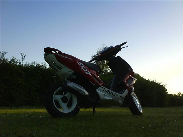 Peugeot 307 WRC billede 2