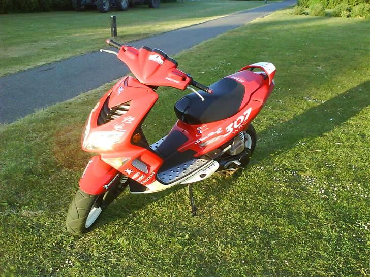 Peugeot 307 WRC billede 3